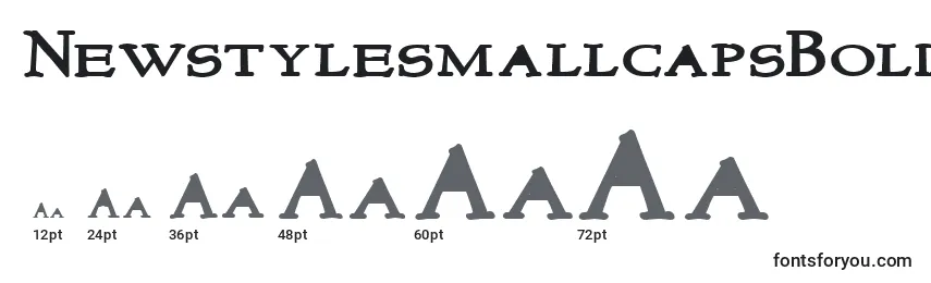 Размеры шрифта NewstylesmallcapsBold