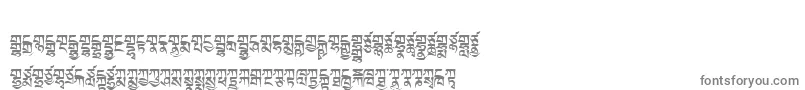 Tibetanmachineweb2 Font – Gray Fonts