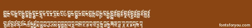 Tibetanmachineweb2 Font – White Fonts on Brown Background