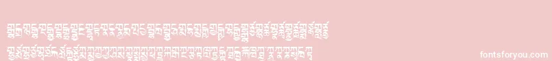 Tibetanmachineweb2 Font – White Fonts on Pink Background