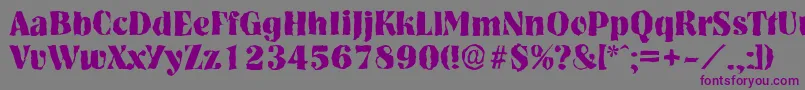 NashvillerandomXboldRegular Font – Purple Fonts on Gray Background