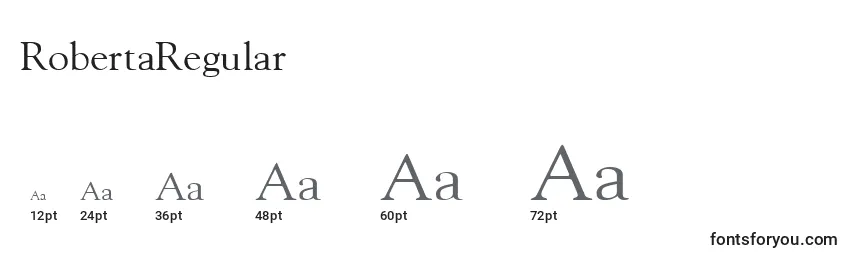 RobertaRegular Font Sizes