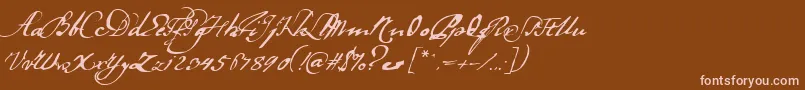 Ladanse Font – Pink Fonts on Brown Background