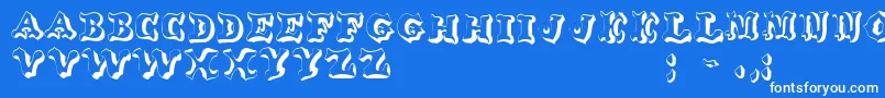 OxnardRegular Font – White Fonts on Blue Background