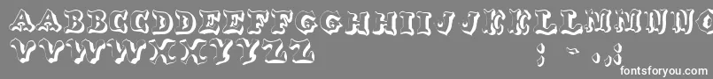 OxnardRegular Font – White Fonts on Gray Background