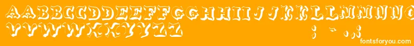 OxnardRegular-Schriftart – Weiße Schriften auf orangefarbenem Hintergrund