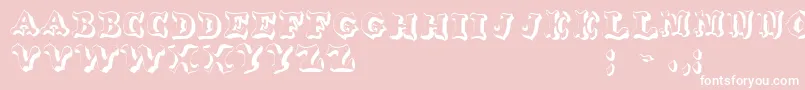 OxnardRegular Font – White Fonts on Pink Background