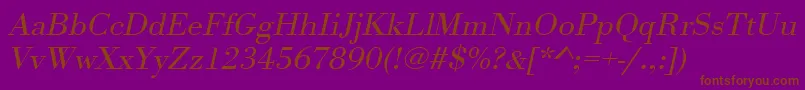 UrwbodonitligextwidOblique Font – Brown Fonts on Purple Background