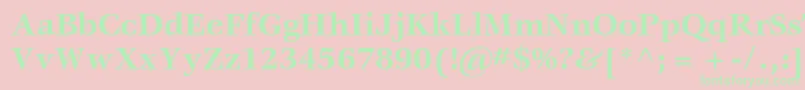 VeljovicstdBold Font – Green Fonts on Pink Background