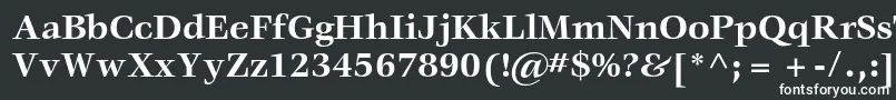 VeljovicstdBold Font – White Fonts on Black Background