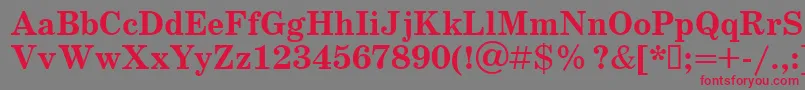 Schoolbookv.KzBold Font – Red Fonts on Gray Background