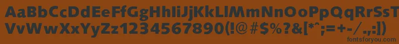 SaxonyserialXboldRegular Font – Black Fonts on Brown Background