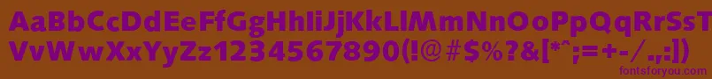 SaxonyserialXboldRegular Font – Purple Fonts on Brown Background