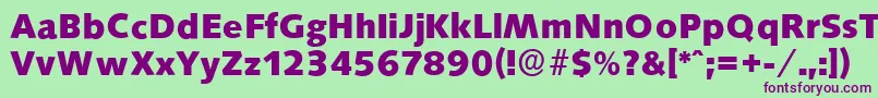 SaxonyserialXboldRegular Font – Purple Fonts on Green Background