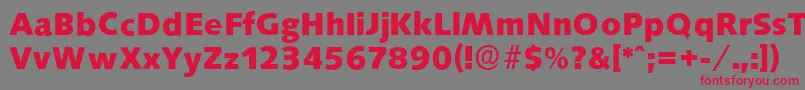 SaxonyserialXboldRegular Font – Red Fonts on Gray Background