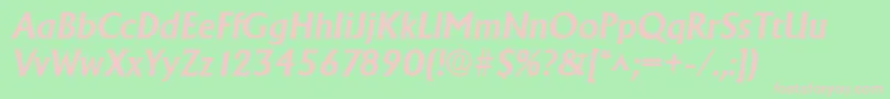 AdelonBoldItalic Font – Pink Fonts on Green Background