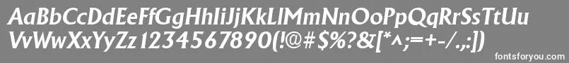 AdelonBoldItalic Font – White Fonts on Gray Background