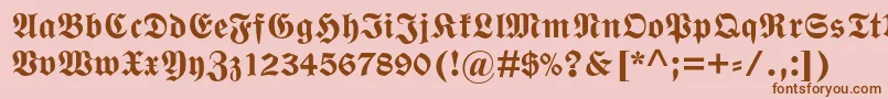 WittenbergerfrakturmtstdBd Font – Brown Fonts on Pink Background