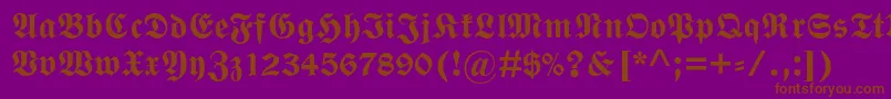 En savoir plus sur la police WittenbergerfrakturmtstdBd Police WittenbergerfrakturmtstdBd – polices brunes sur fond violet