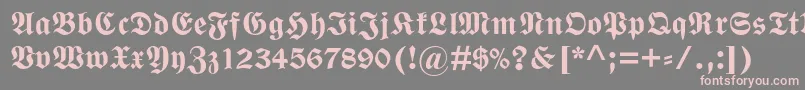 WittenbergerfrakturmtstdBd Font – Pink Fonts on Gray Background