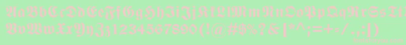 WittenbergerfrakturmtstdBd Font – Pink Fonts on Green Background