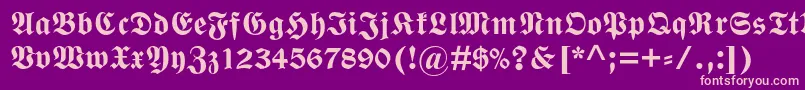 WittenbergerfrakturmtstdBd Font – Pink Fonts on Purple Background