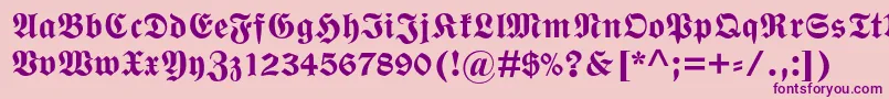 Police WittenbergerfrakturmtstdBd – polices violettes sur fond rose