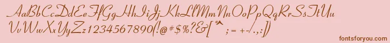 Police Spslelegantc – polices brunes sur fond rose