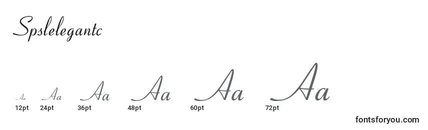 Размеры шрифта Spslelegantc
