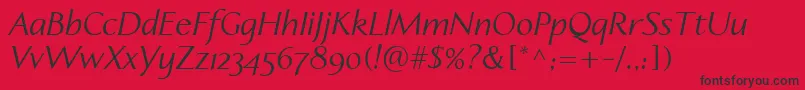 LinotypeapertoItalic Font – Black Fonts on Red Background