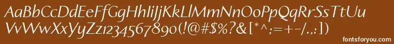 LinotypeapertoItalic Font – White Fonts on Brown Background