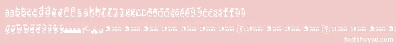 Torontozoopenguins-Schriftart – Weiße Schriften auf rosa Hintergrund