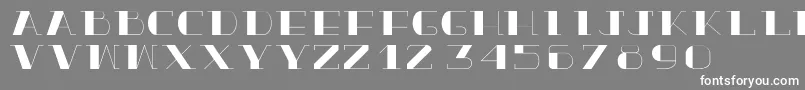 フォントTrueloveBold – 灰色の背景に白い文字