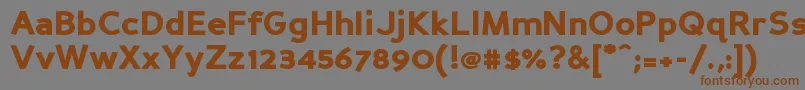 PerspectiveSansBlack Font – Brown Fonts on Gray Background