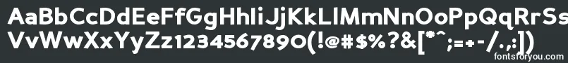 PerspectiveSansBlack Font – White Fonts on Black Background