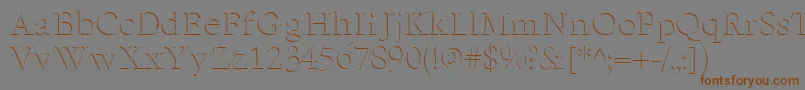 ReliefSerif Font – Brown Fonts on Gray Background