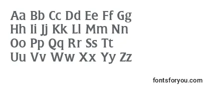 FlareGothic Font