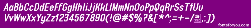 TypoQuikBoldItalicDemo Font – White Fonts on Purple Background