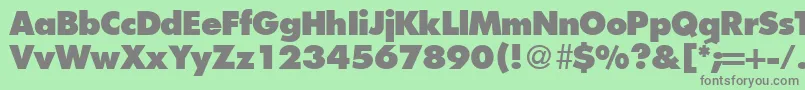FunctiontwoextraboldRegular Font – Gray Fonts on Green Background