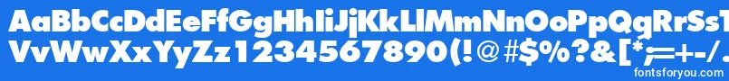 Czcionka FunctiontwoextraboldRegular – białe czcionki na niebieskim tle