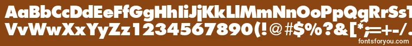 Police FunctiontwoextraboldRegular – polices blanches sur fond brun