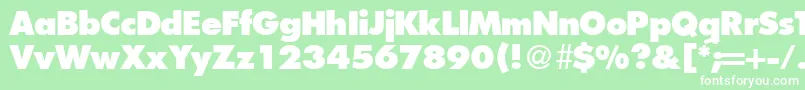 FunctiontwoextraboldRegular Font – White Fonts on Green Background