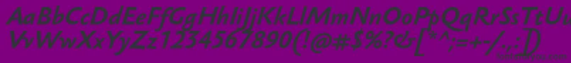 SebastianTextProBoldItalic Font – Black Fonts on Purple Background