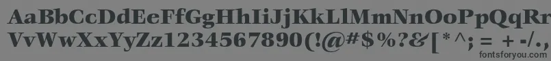 VeljovicstdBlack Font – Black Fonts on Gray Background