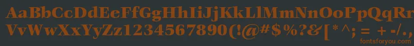 VeljovicstdBlack Font – Brown Fonts on Black Background