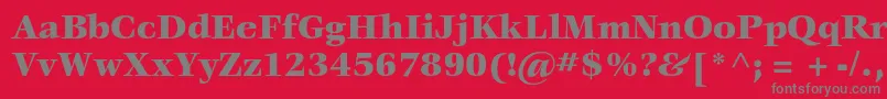 VeljovicstdBlack Font – Gray Fonts on Red Background