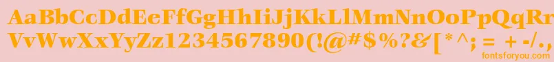 VeljovicstdBlack Font – Orange Fonts on Pink Background