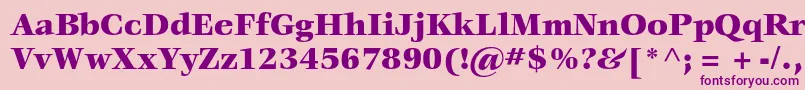 VeljovicstdBlack Font – Purple Fonts on Pink Background