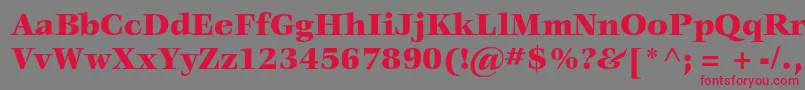 VeljovicstdBlack Font – Red Fonts on Gray Background