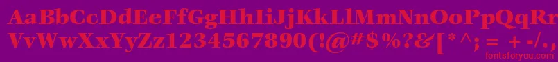 VeljovicstdBlack Font – Red Fonts on Purple Background